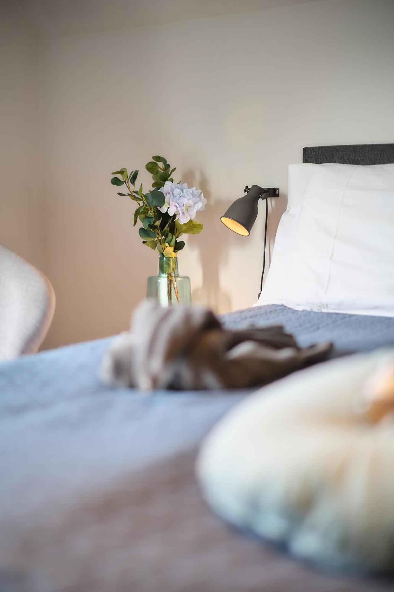 Villa Cecha B&B &Wellness オステンド エクステリア 写真