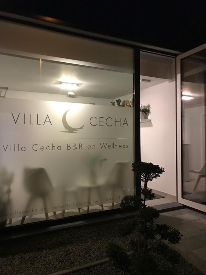 Villa Cecha B&B &Wellness オステンド エクステリア 写真